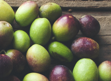 El Secreto de Silvanus: Un Aceite que Cautiva los Sentidos